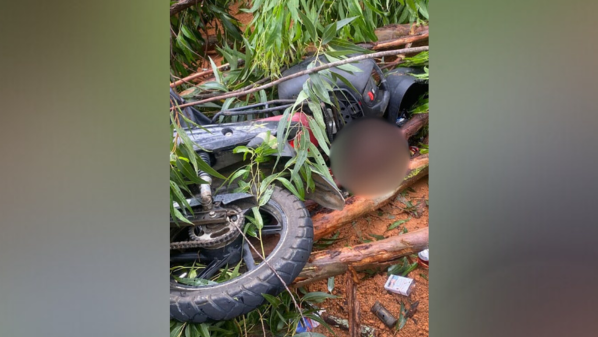 Motociclista morre ao bater em árvore caída por temporal na ES 080, em Colatina