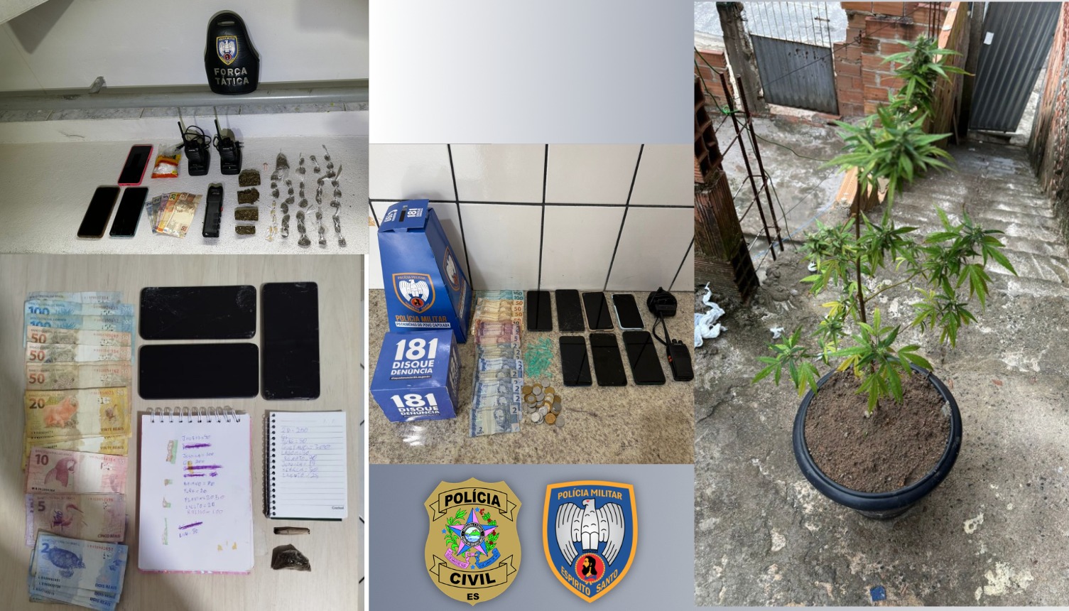 Polícia mira 12 alvos e prende seis por tráfico, estupro e agressão a mulheres em Boa Esperança