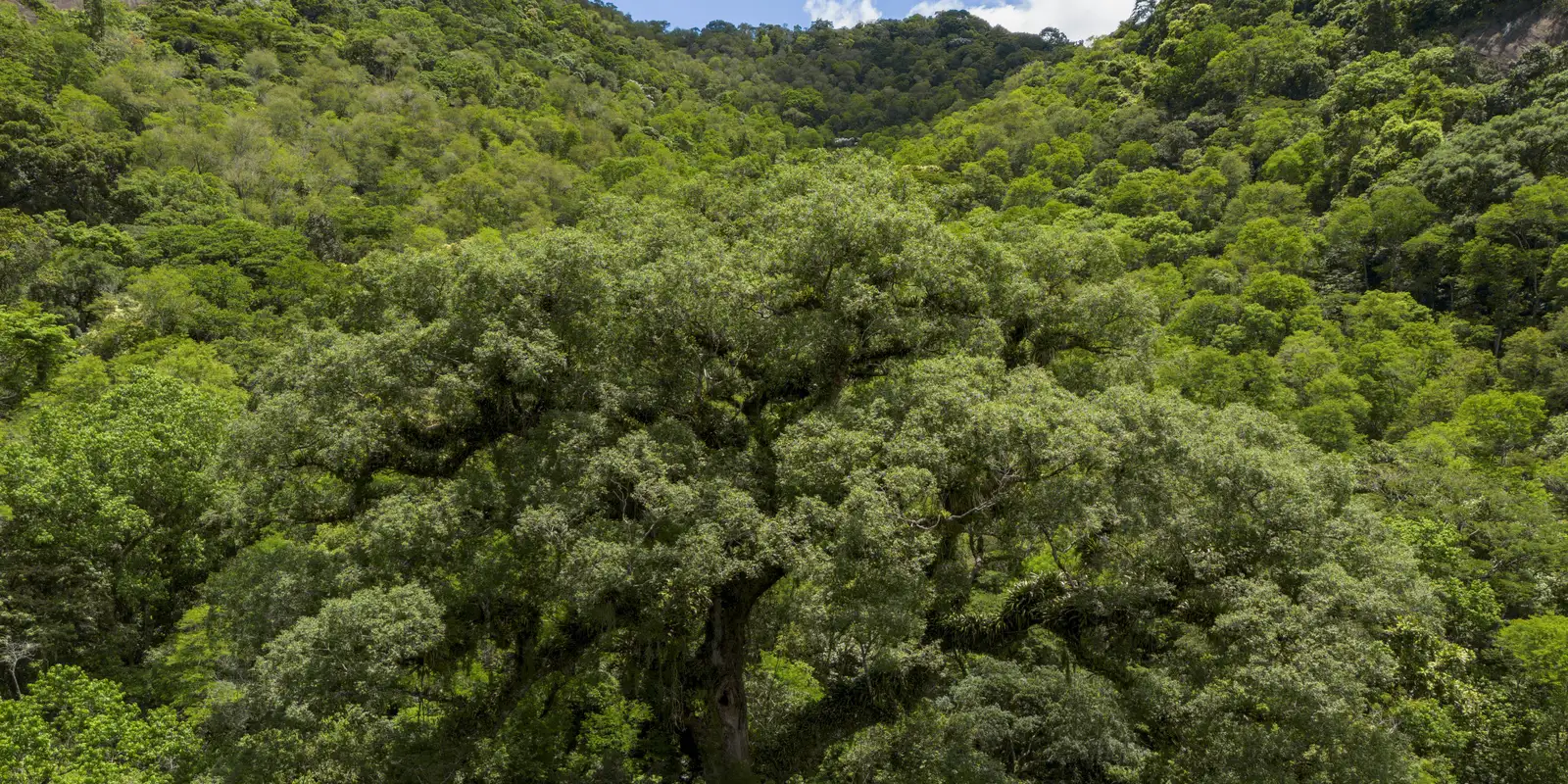 Seleção TV Brasil: conheça os 12 contemplados na linha sobre natureza