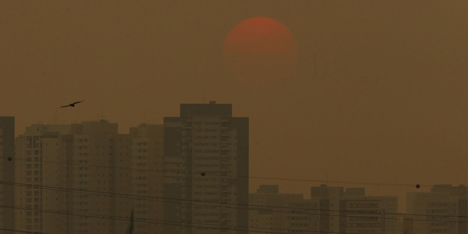Sensor do ar de baixo custo será lançado no Acampamento Terra Livre
